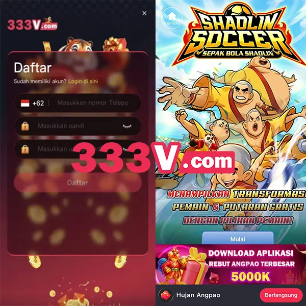 333V